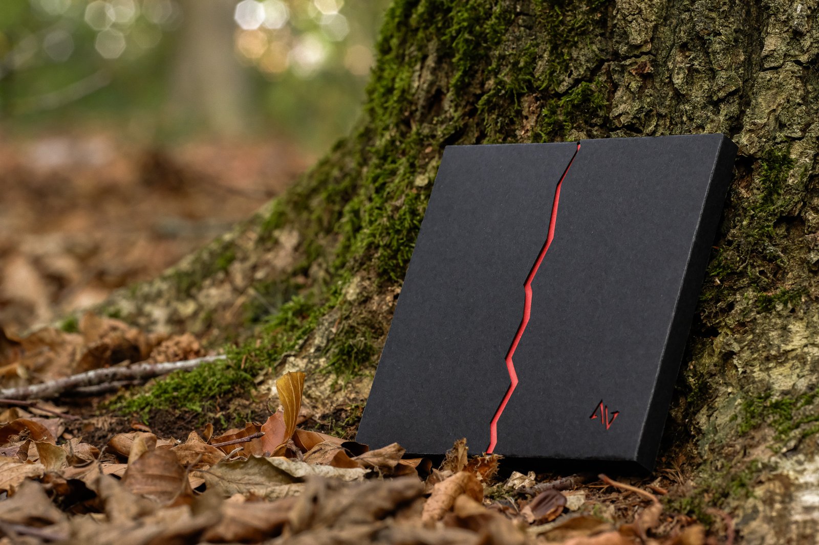 Le coffret Nature Morte, papier ensemencé assemblé à la main